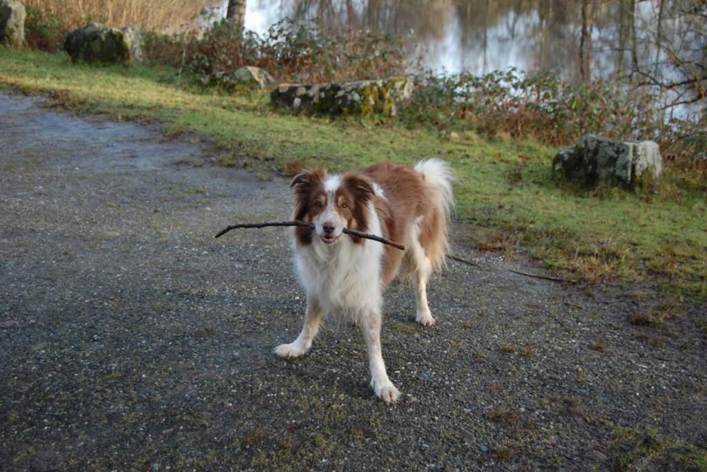 Creag Mhor Self Catering Holiday Apartment Aberfoyle  Zewnętrze zdjęcie